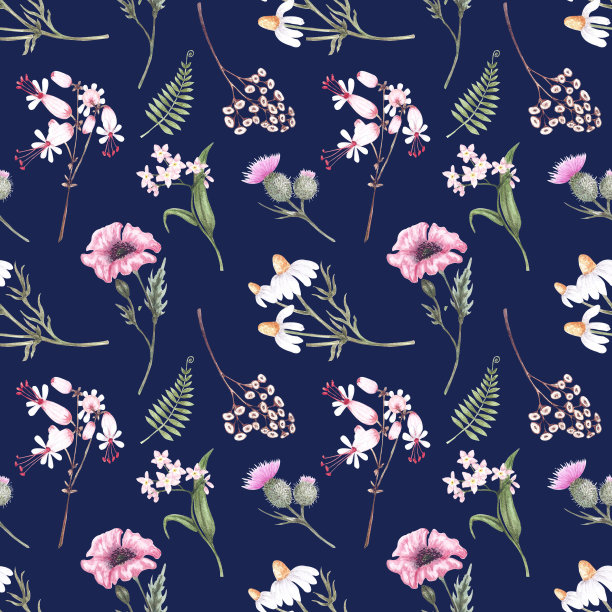 无缝图案与美丽的野花的形象:罂粟，雏菊，矢车菊，蓟，铃铛，在一个深蓝色的背景。图片下载
