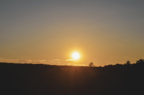 橙色的落日背景上，宽阔的草坪上黑色的草的剪影图片下载