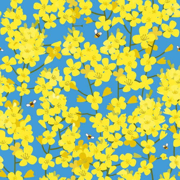 无缝油菜植物图案，矢量花背景。纹理印花，春夏时装，纺织品设计，面料，蜂蜜店网站，壁纸图片下载