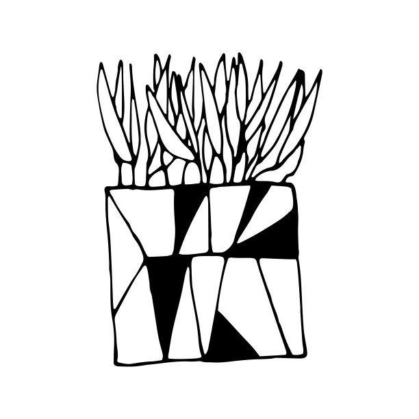 可爱的手绘仙人掌花盆。涂鸦矢量插图室内植物婚礼设计，标志和贺卡。孤立在白色背景上。图片下载