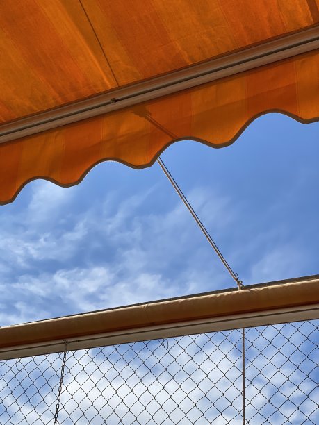 阳光罩着蔚蓝的天空图片下载