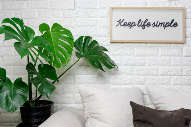 家居园艺用室内植物空气净化，客厅沙发。图片下载