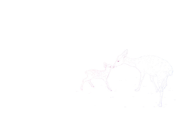 逼真的动物插图，彩色鹿父母和孩子戳他们的鼻子图片下载