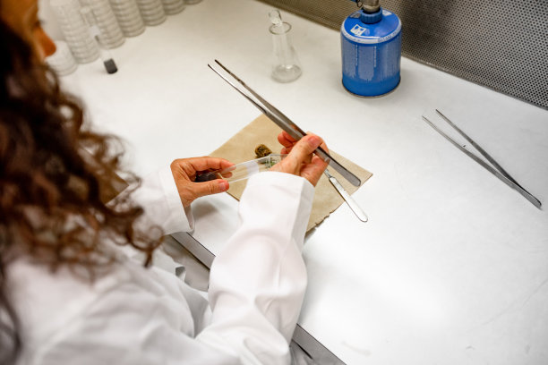 在实验室工作的女性生物学家-库存照片图片下载