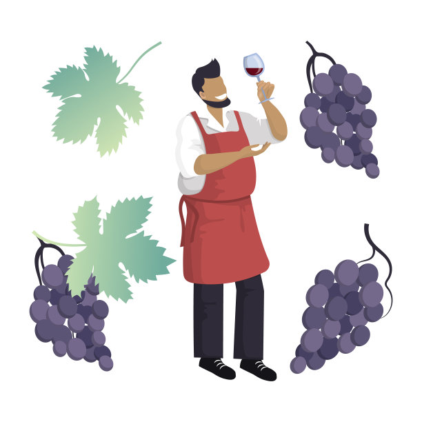 酿酒师拿着一杯红酒检查。藤蔓，叶子和一串黑莓图片下载