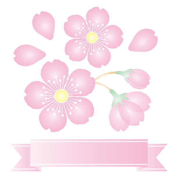 樱花背景材料框架插图矢量图片下载