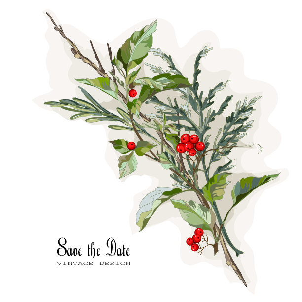 复古风格的分支图片下载