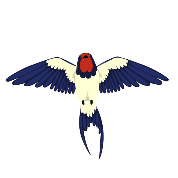 在白色背景上孤立飞行的燕子。矢量图形。图片下载