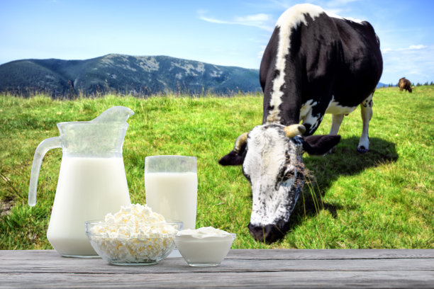 木桌上放着白奶牛和棕黑色的白奶酪和酸奶油图片下载