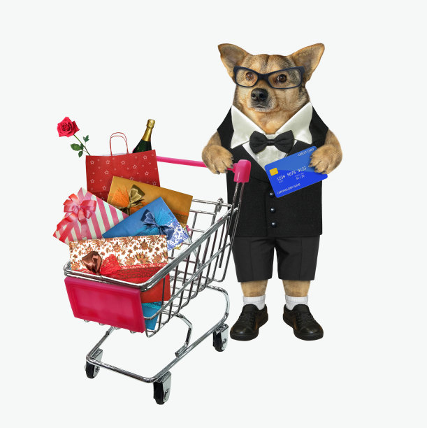 穿着西装的狗推着购物车图片下载