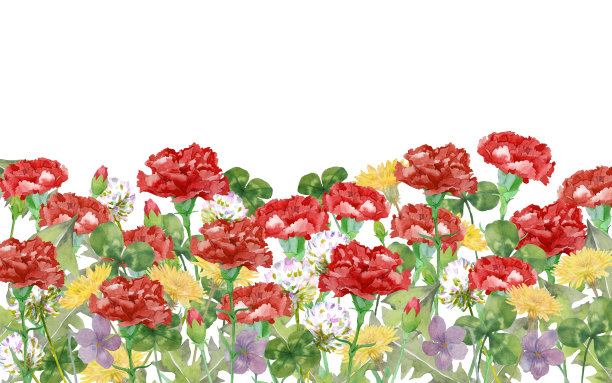 红色的康乃馨和春天的鲜花图片下载