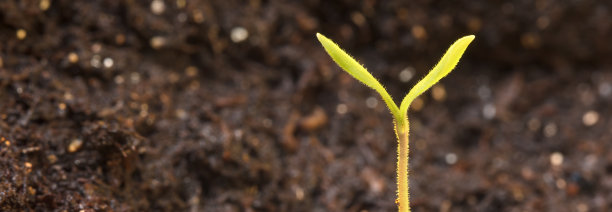 新生活图片下载