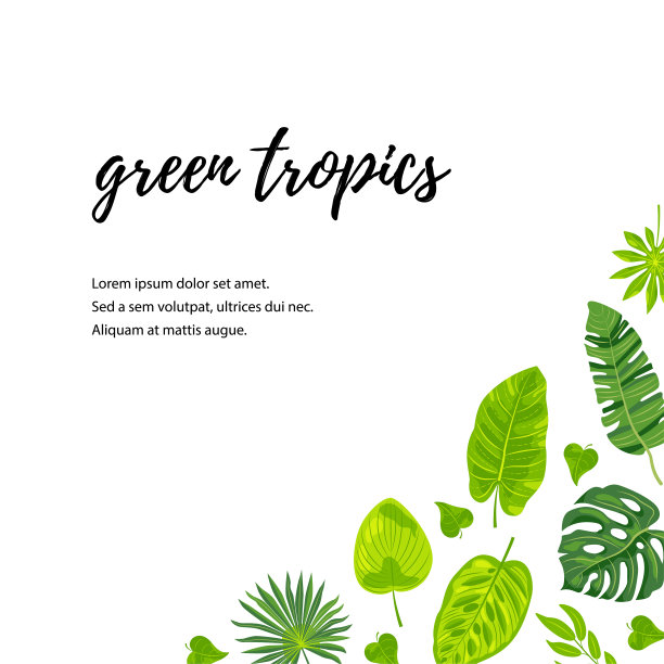 邀请与异国情调的丛林树叶。素材图片