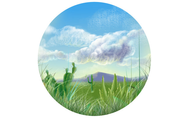 自然景观仙人掌和芦荟植物图片下载