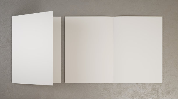 双折宣传册实体3d渲染图片下载