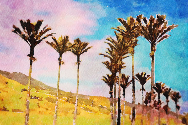 在日落风景棕榈树的水彩插图图片下载