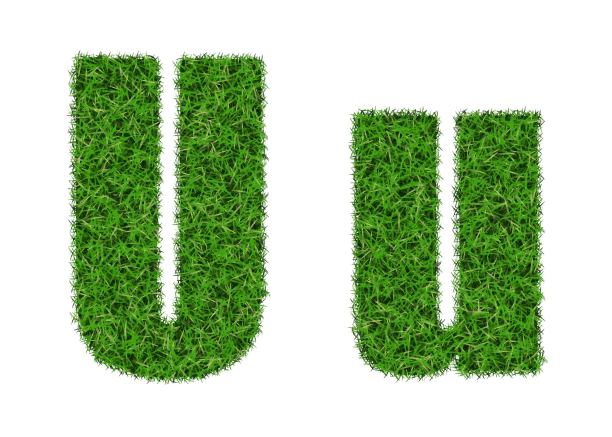 绿草字体。你的信。图片下载