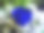 白色开花植物特写图片下载