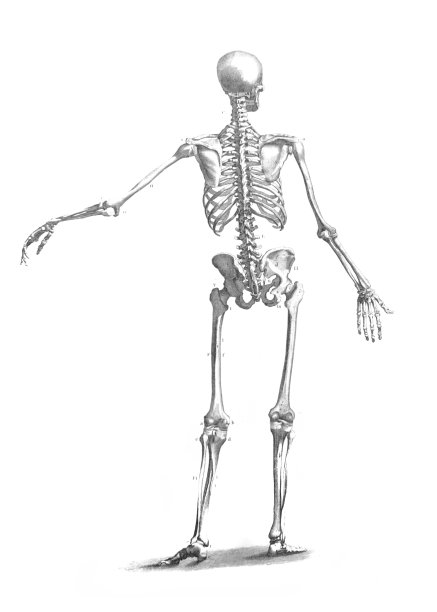 《大英百科全书》，第一卷，作者C.布莱克，1875年，爱丁堡图片下载