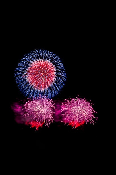 烟花照亮了天空图片下载