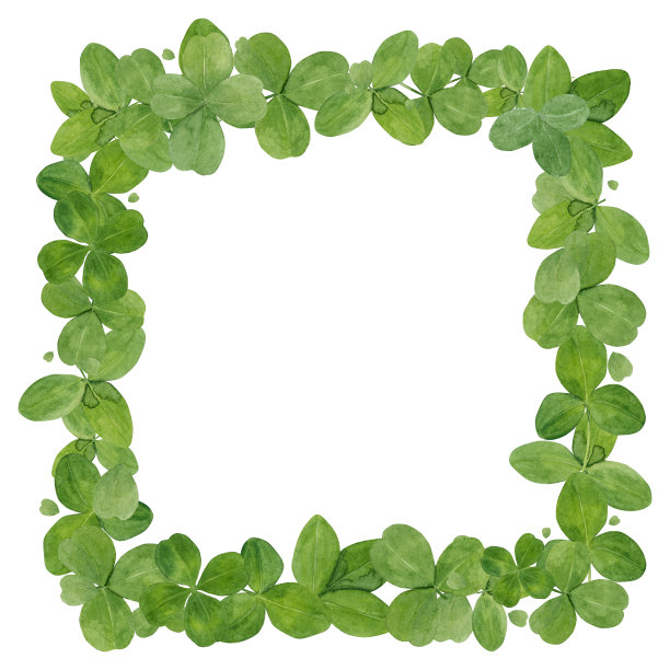 水彩背景与绿色三叶草叶子，方形花环孤立在白色。图片下载