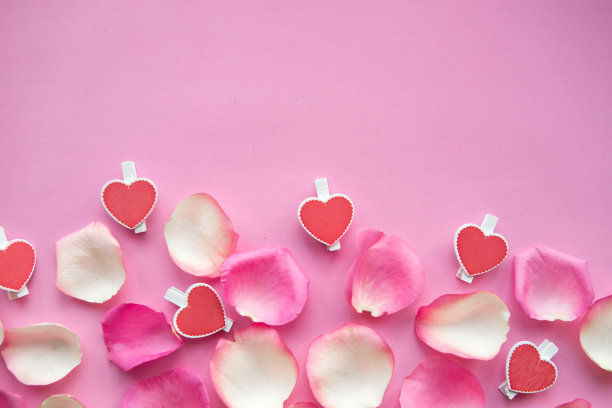 粉色背景上的白色和粉色玫瑰花瓣。为文本复制空间图片下载