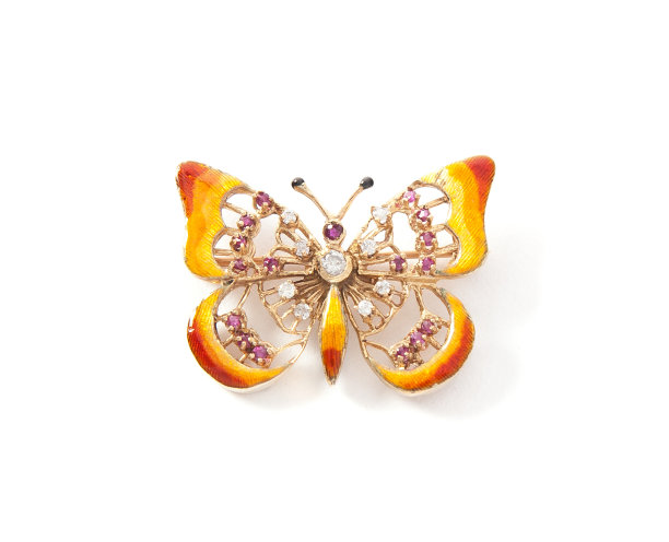 美丽的蝴蝶图片下载