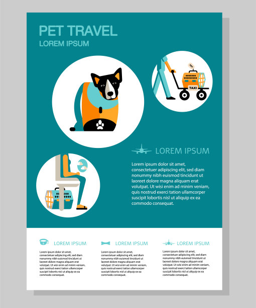 设置动物运输的平面风格图标。图片下载