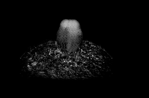 水滴纹理上的黑色背景，水飞溅孤立图片下载