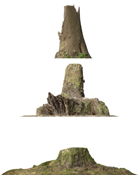 树桩死树孤立的白色3d插图图片下载