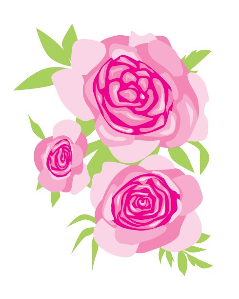 一个复古牡丹孤立在白色背景设计或打印，一个平面矢量股票插图与粉红色牡丹或玫瑰花和绿叶图片下载