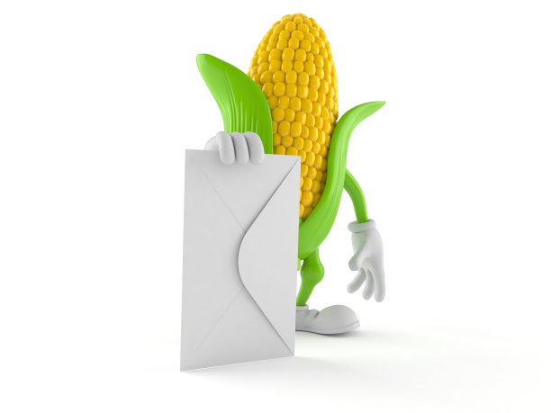 包膜玉米性状图片下载