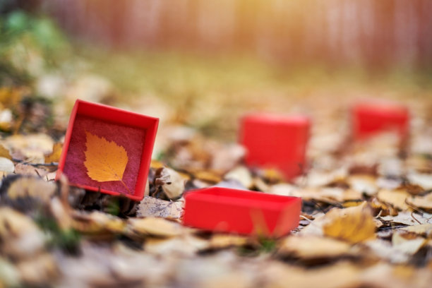 一年中季节变化的概念图片下载