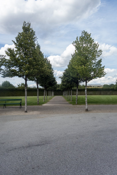 公园里美丽的小巷，田园诗般的云景图片下载