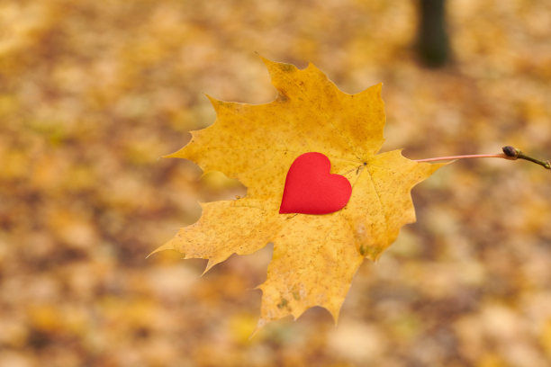 敞开纯洁心灵的象征，复制空间图片下载
