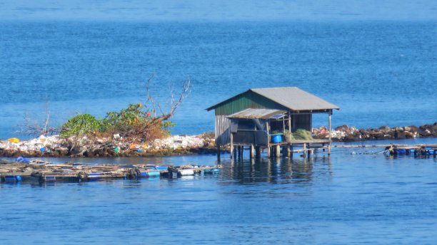 柬埔寨西哈努克村附近典型的棚屋图片下载