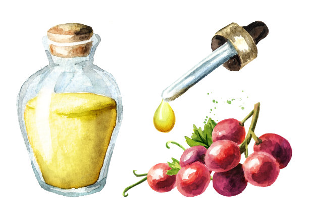 红葡萄精油套装。手绘水彩水平插图孤立的白色背景图片下载