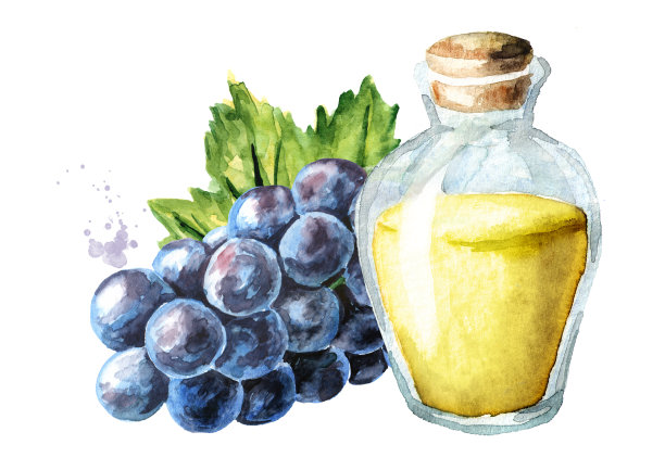 玻璃瓶的葡萄精油。手绘水彩水平插图，孤立在白色背景图片下载
