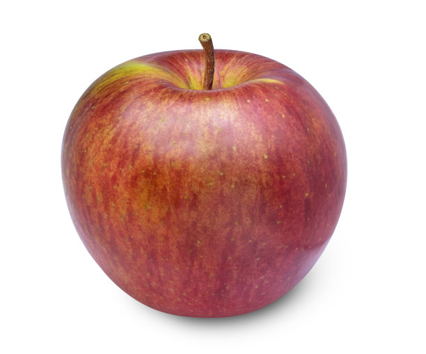 新鲜的红苹果孤立在白色的背景，韩国苹果孤立在白色的修剪路径。图片下载