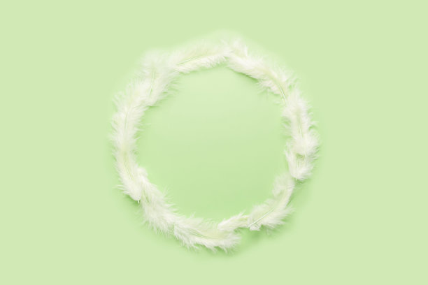 薄荷背景上的羽毛框架图片下载