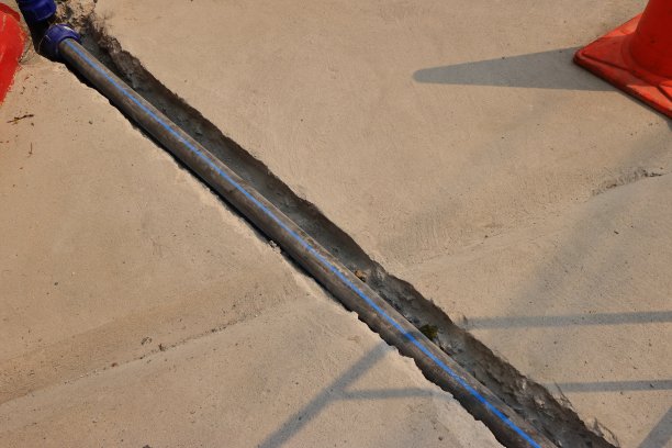 我会埋葬你图片下载