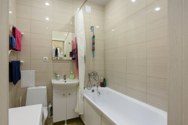 紧凑的生活浴室和卫生间的概貌图片下载