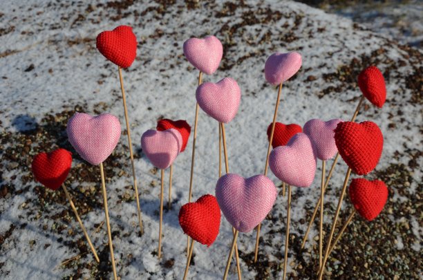 情人节的心形卡片图片下载