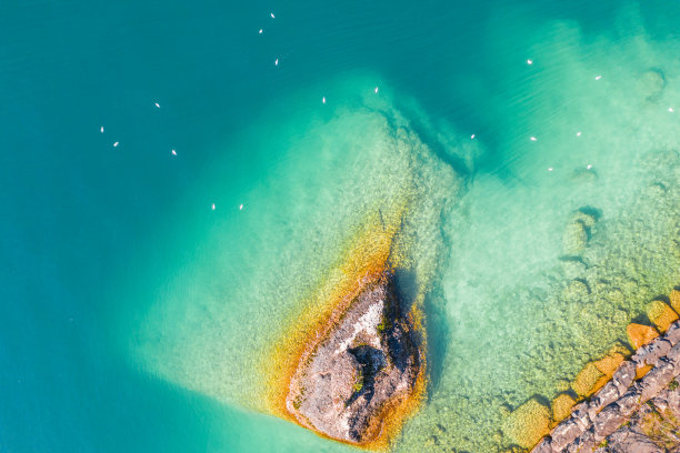 自然背景。湖鸟瞰图。水面上有白色的海鸥。图片下载