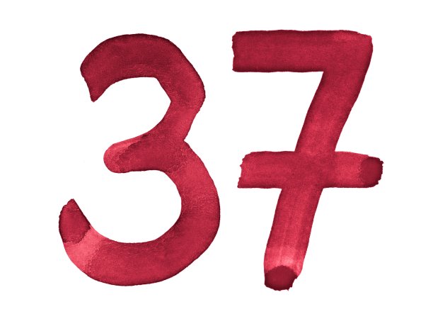 水彩数字，用画笔手绘。勃艮第葡萄酒的象征。模板的问候，设计，明信片，装饰。图片下载