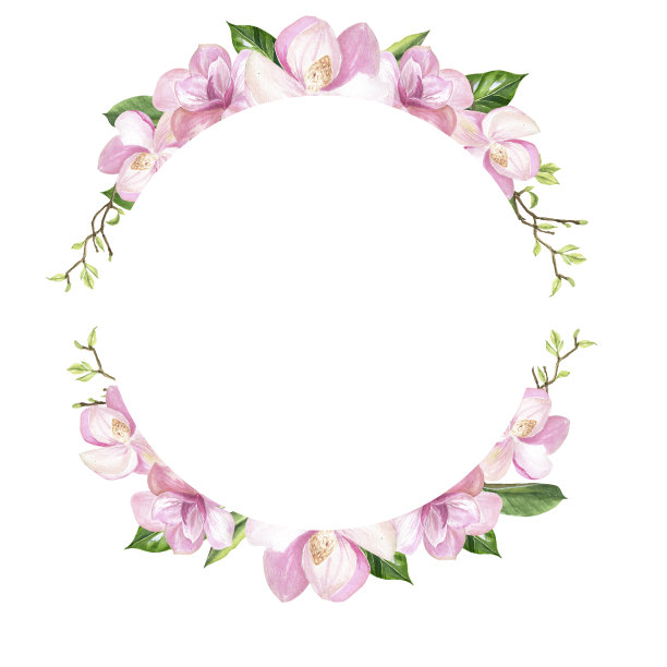 完成的图像，一个花环组成的两部分玉兰花和树枝，水彩图片下载