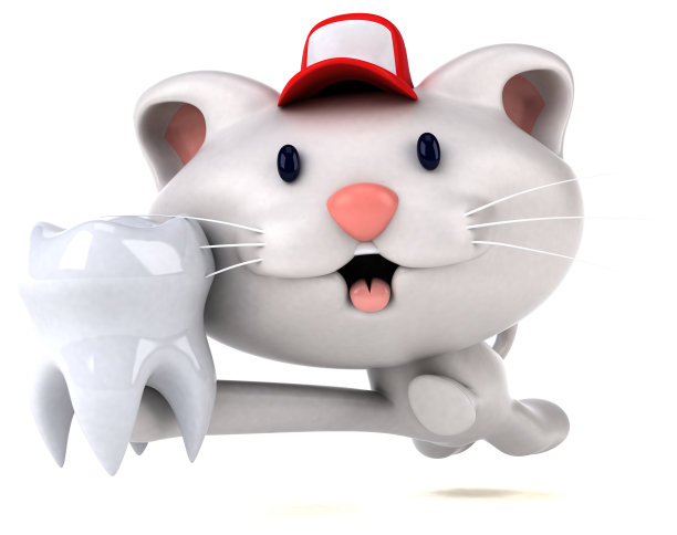 有趣的猫- 3D插图图片下载