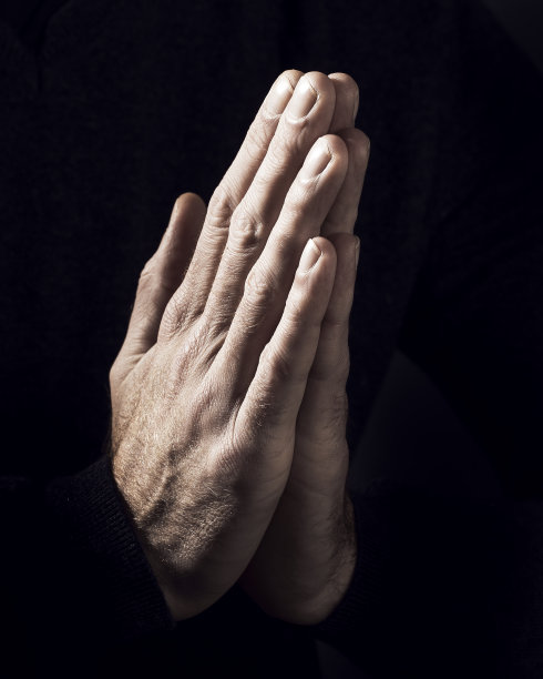 祈祷之手图片下载