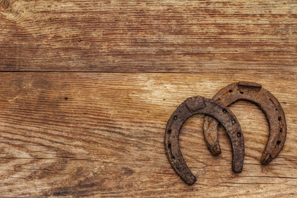 铸铁金属马蹄铁，毛毡丁香叶。好运的象征，圣帕特里克节图片下载