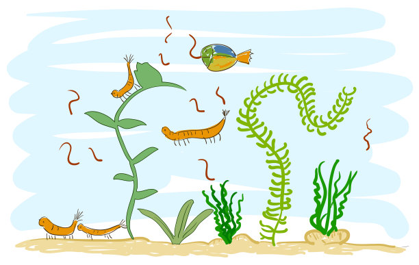 虾仁水族馆。孩子们的画。图片下载